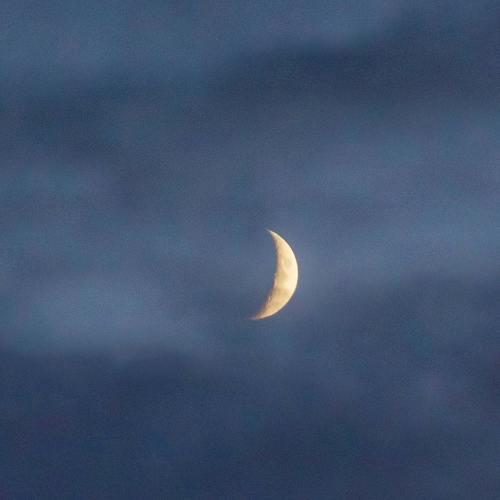 Photo #3831675
