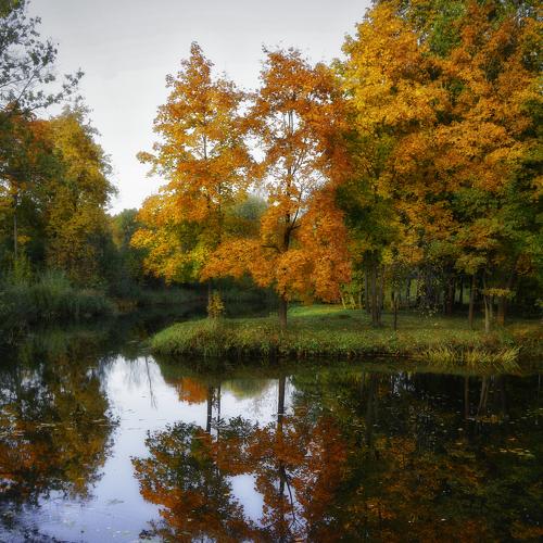 Photo #3831866