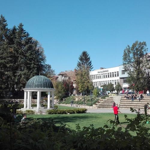 Photo #3831952