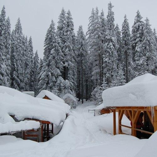 Photo #3832450