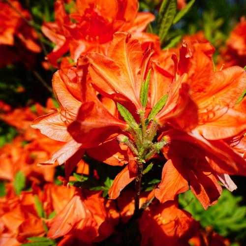 Photo #3832694
