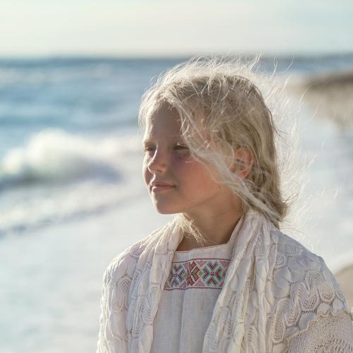 Photo #3833137