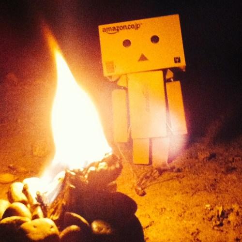 Photo #3833259