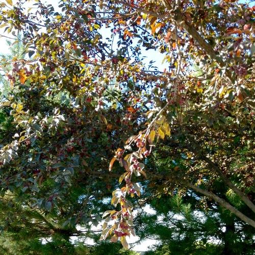 Photo #3833295