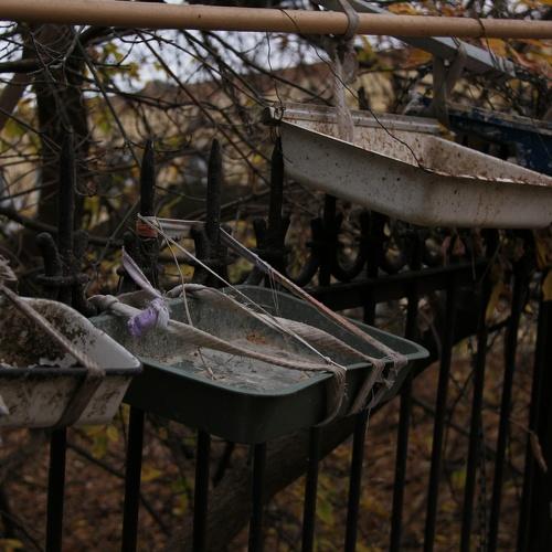 Photo #3833497