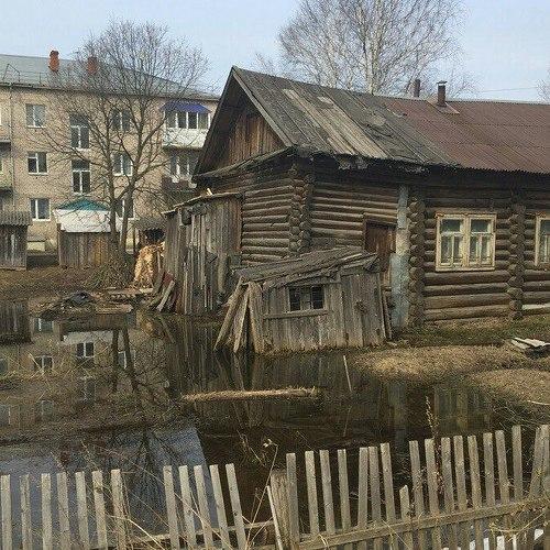 Photo #3833513