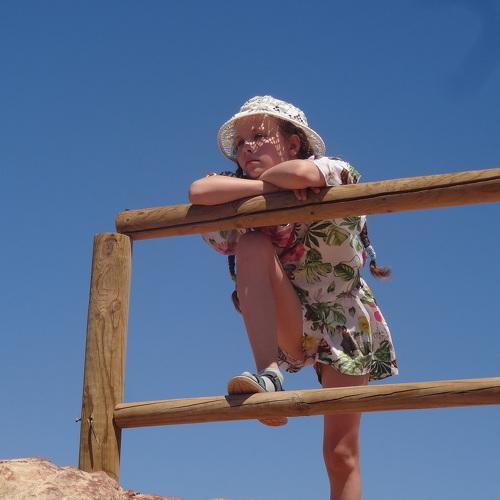 Photo #3833531