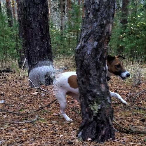 Photo #3833557