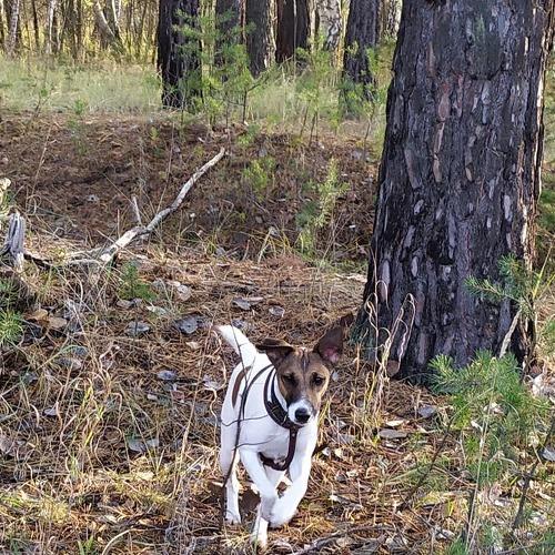 Photo #3833559