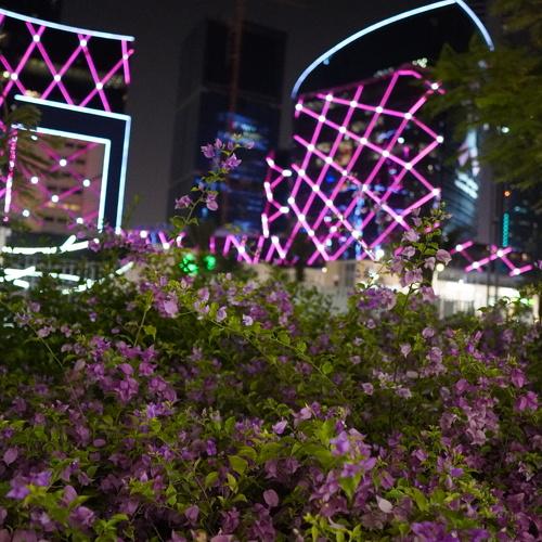 Photo #3833637