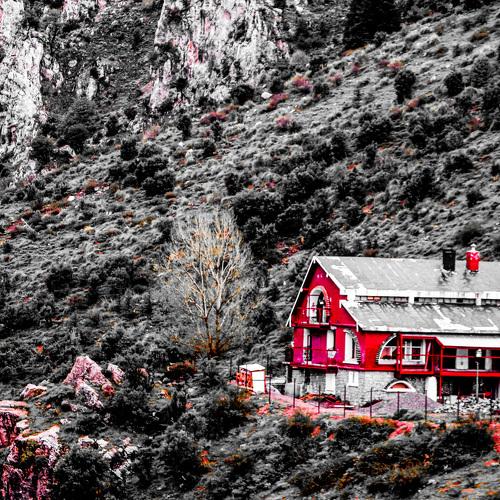 Photo #3833659