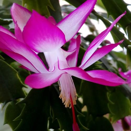 Photo #3834596