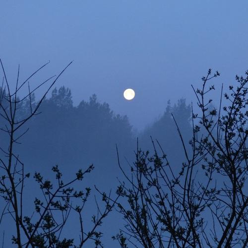Photo #3835222