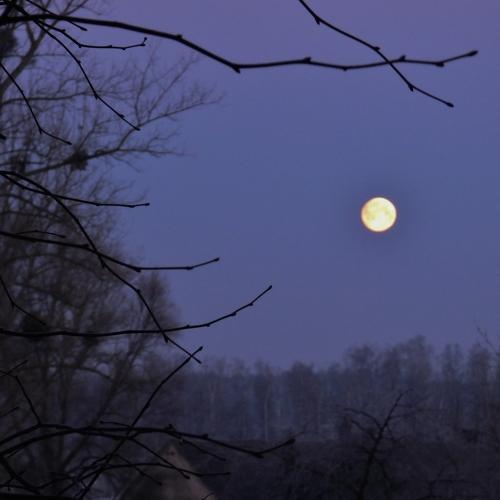 Photo #3835247