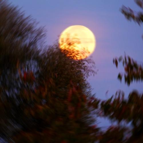 Photo #3835342