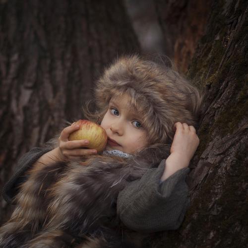 Photo #3835499