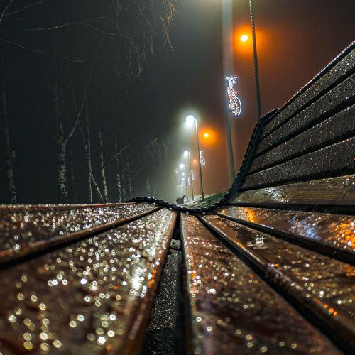 bench in the fog
