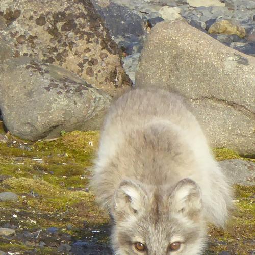 Photo #3836184