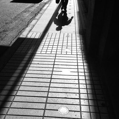 Photo #3836971