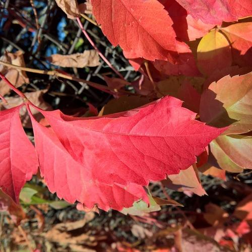 Photo #3837500