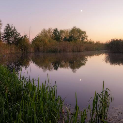 Photo #3837673