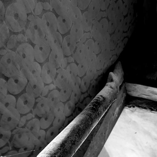 Photo #3837821