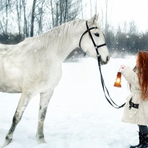 Photo #3838172