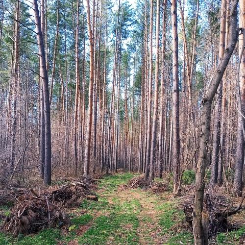 Photo #3838215