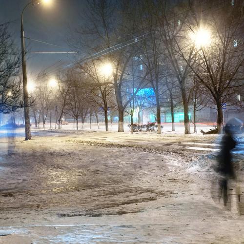 Photo #3838732