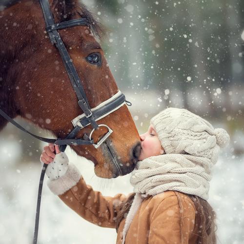 Фотография #3838940