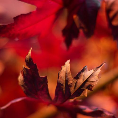 Photo #3838989