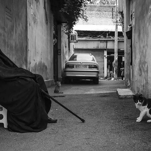 Photo #3839379