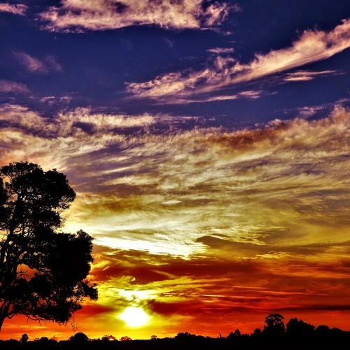 Photo #3839542