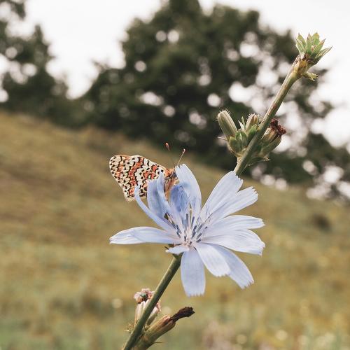 Photo #3839694