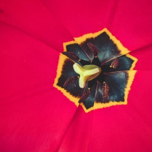 Photo #3840515