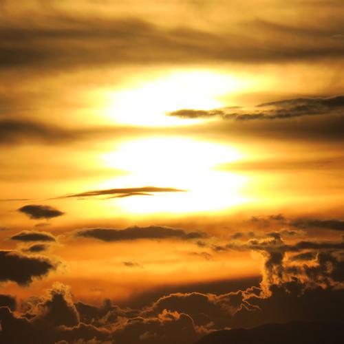 Photo #3840949