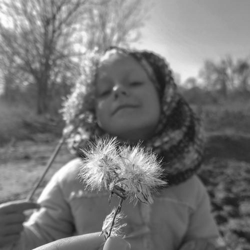 Photo #3841087