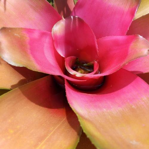 Photo #3841091