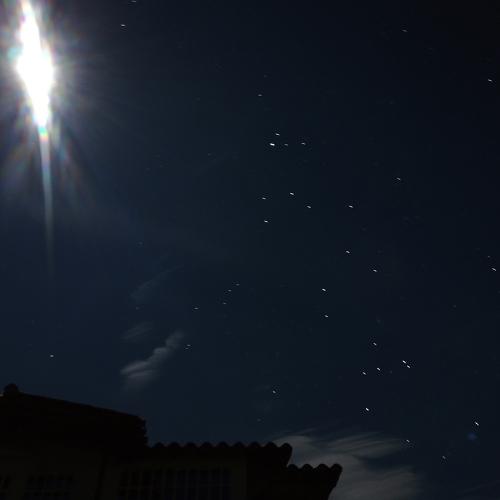 Photo #3841155