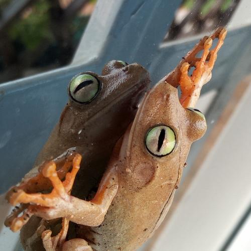 Photo #3841177
