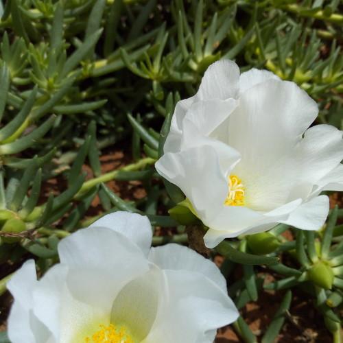 Photo #3841186
