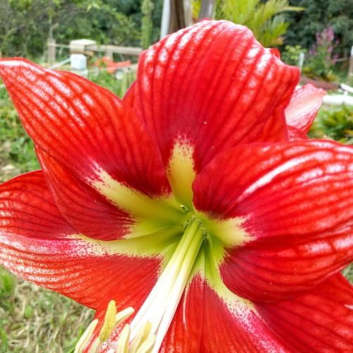 Photo #3841197