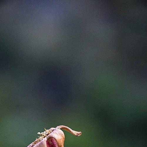 Photo #3841489
