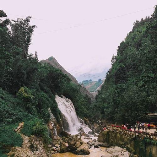 Photo #3841663