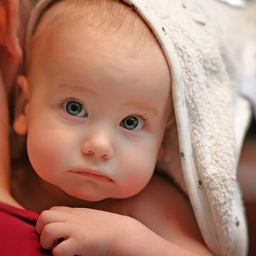 Photo #3841782
