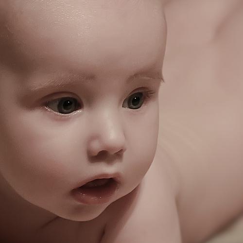 Photo #3841788