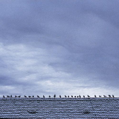 Photo #3842230