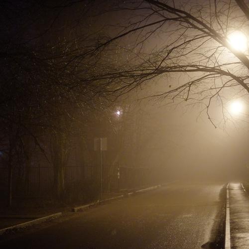 Photo #3842489