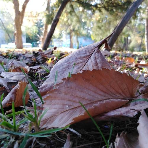 Photo #3843219