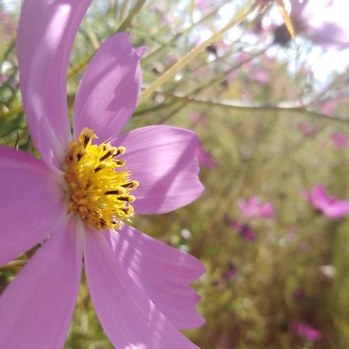 Photo #3843252